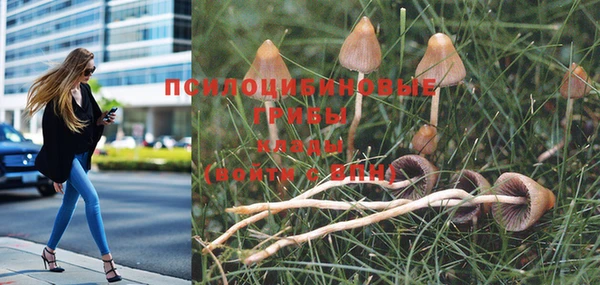 соль курить ск Медногорск