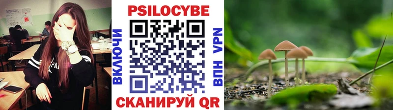 где можно купить   Фатеж  Псилоцибиновые грибы мицелий 